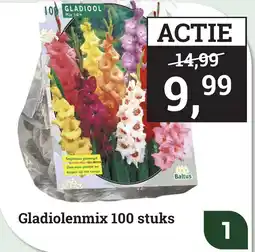 Tuincentrum Osdorp Gladiolenmix aanbieding