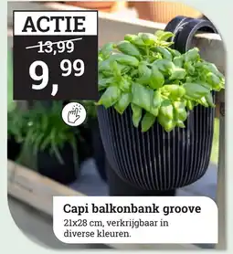 Tuincentrum Osdorp Capi balkonbank groove aanbieding