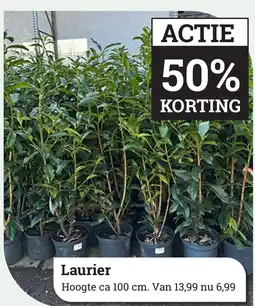 Tuincentrum Osdorp Laurier aanbieding