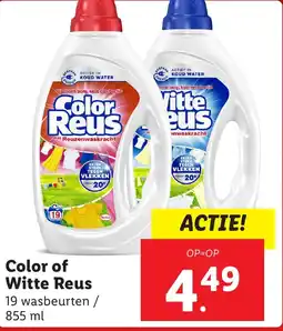 Lidl Color of Witte Reus aanbieding