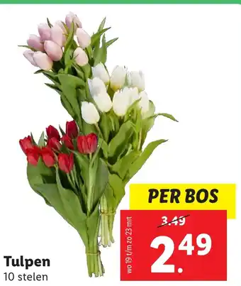 Lidl Tulpen aanbieding