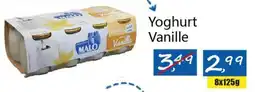 Tanger Markt Yoghurt Vanille aanbieding