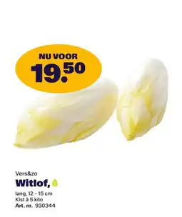 Bidfood Vers&zo Witlof aanbieding