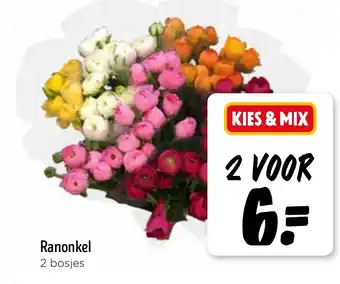 Jumbo Ranonkel aanbieding