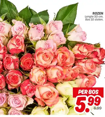 Dekamarkt Rozen aanbieding