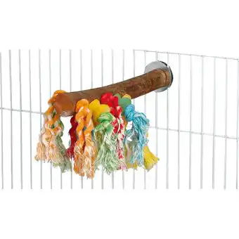 Pets Place Homestyle Vogelspeelgoed Fun Perch - Vogelspeelgoed - 20x4x26 cm Multi-Color aanbieding