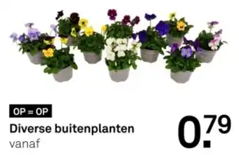 Karwei Diverse buitenplanten aanbieding