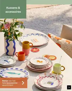 Karwei Kussens & accessoires aanbieding