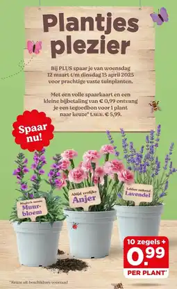 PLUS Plantjes plezier aanbieding