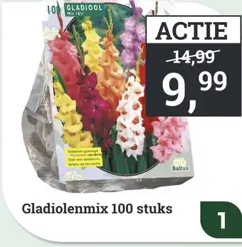 Tuincentrum Osdorp Gladiolenmix 100 stuks aanbieding