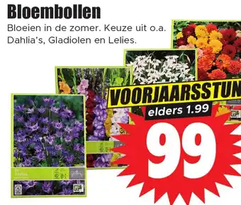 Dirk Bloembollen aanbieding