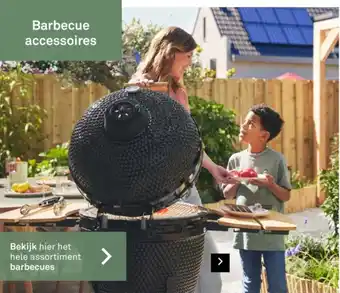 Karwei Barbecue accessoires aanbieding