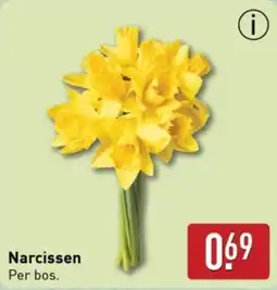 ALDI Narcissen aanbieding