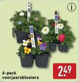 ALDI 6-pack voorjaarsbloeiers aanbieding