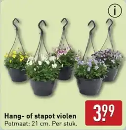 ALDI Hang of stapot violen aanbieding