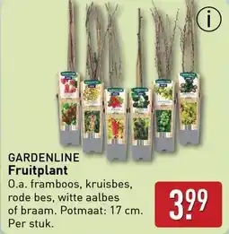 ALDI Gardenline fruitplant aanbieding