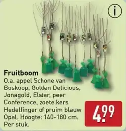 ALDI Fruitboom aanbieding