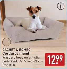 ALDI Cachet & romeo corduroy mand aanbieding