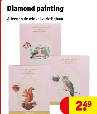 Kruidvat Diamond painting aanbieding