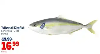 Makro Yellowtail Kingfish aanbieding