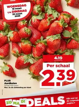 PLUS PLUS Aardbeien aanbieding