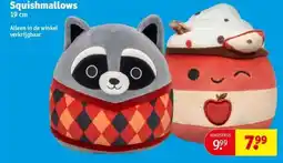 Kruidvat Squishmallows 19 cm aanbieding