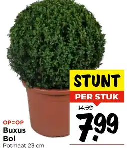 Vomar Voordeelmarkt Buxus Bol aanbieding