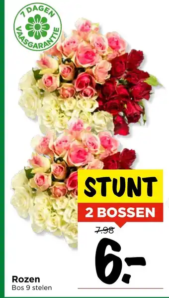 Vomar Voordeelmarkt Rozen aanbieding