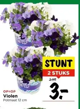 Vomar Voordeelmarkt Violen Potmaat 12 cm aanbieding