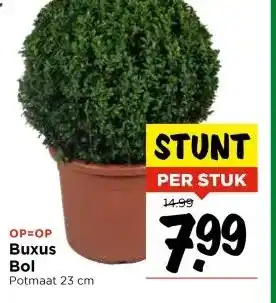 Vomar Voordeelmarkt OP=OP Buxus Bol aanbieding