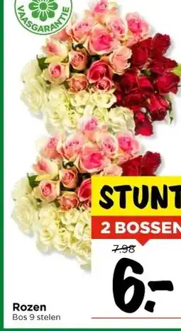 Vomar Voordeelmarkt Rozen Bos 9 stelen aanbieding