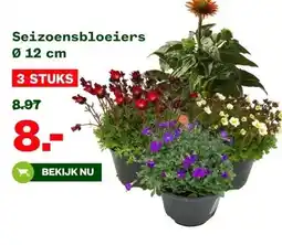 Welkoop Seizoensbloeiers Ø 12 cm aanbieding