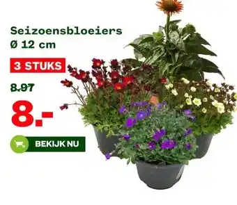 Welkoop Seizoensbloeiers Ø 12 cm aanbieding