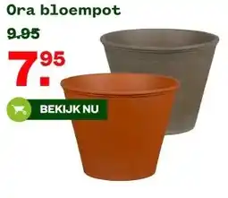 Welkoop Ora bloempot aanbieding