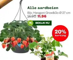 Welkoop Alle aardbeien aanbieding