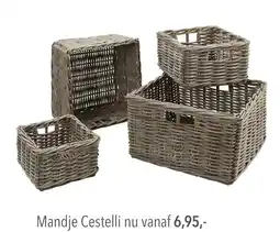 Pronto wonen Mandje Cestelli aanbieding