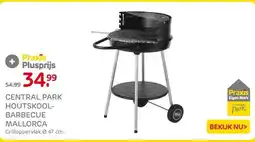 Praxis CENTRAL PARK HOUTSKOOL- BARBECUE MALLORCA aanbieding