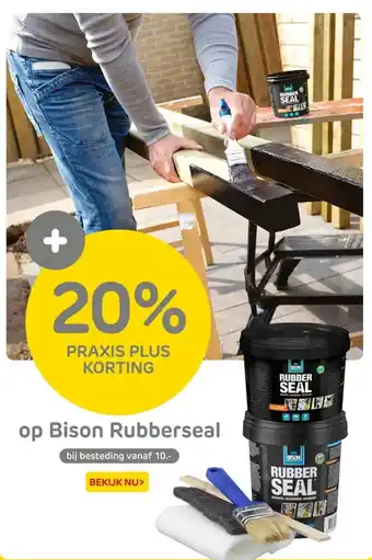 Praxis 20% PRAXIS PLUS KORTING aanbieding