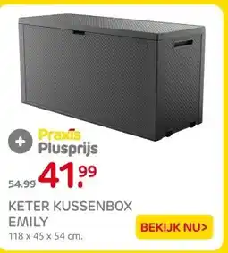 Praxis KETER KUSSENBOX EMILY aanbieding