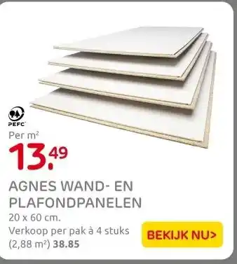 Praxis AGNES WAND- EN PLAFONDPANELEN aanbieding