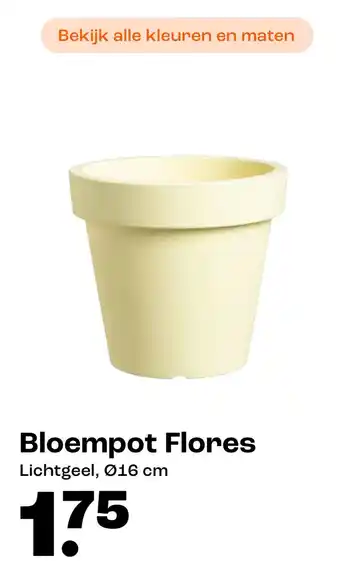 Kwantum Bloempot Flores aanbieding