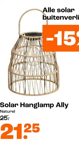 Kwantum Solar Hanglamp Ally aanbieding