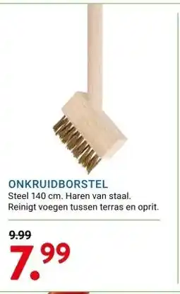 Kluswijs ONKRUIDBORSTEL aanbieding