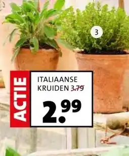 Intratuin Italiaanse kruiden. aanbieding