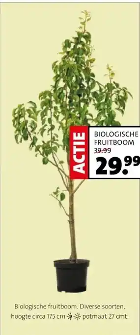 Intratuin BIOLOGISCHE FRUITBOOM aanbieding