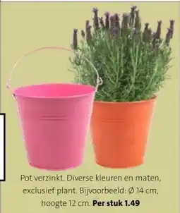 Intratuin Pot verzinkt. Diverse kleuren en maten, exclusief plant. aanbieding