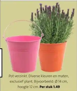 Intratuin Pot verzinkt. Diverse kleuren en maten, exclusief plant. aanbieding