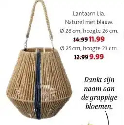 Intratuin Lantaarn Lia. aanbieding