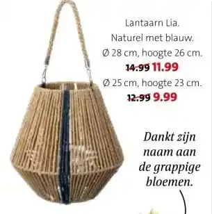 Intratuin Lantaarn Lia. aanbieding