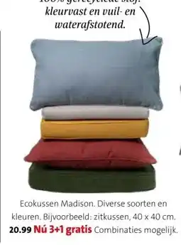 Intratuin Ecokussen Madison. aanbieding